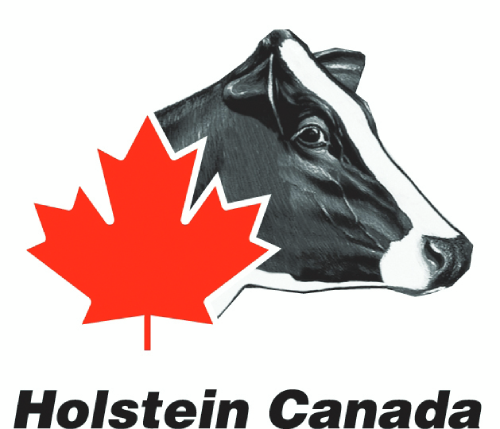 Holstein Canada Logo