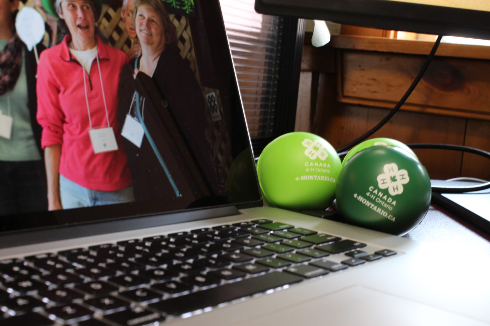 Laptop on desk sitting beside three green stress balls