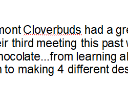 Cloverbuds 3.1