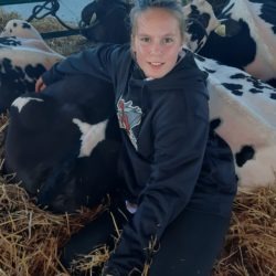 Clearview Dairy 4-H member with her calf at the Great Northern Exhibition