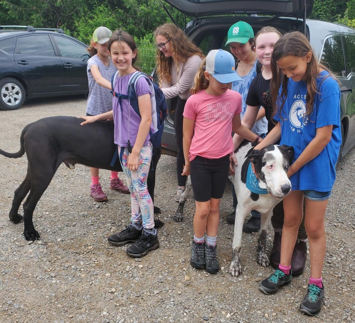4-H Hiking members meeting new friends and encouraging them to join the 4-H canine club
