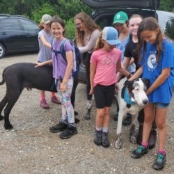 4-H Hiking members meeting new friends and encouraging them to join the 4-H canine club