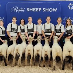 Sheep club members at the Royal Junior Sheep Show 2022