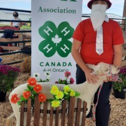 Member and lamb dressed as a gnome and flowers with fence