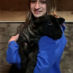 4-H member with her ewe lamb project