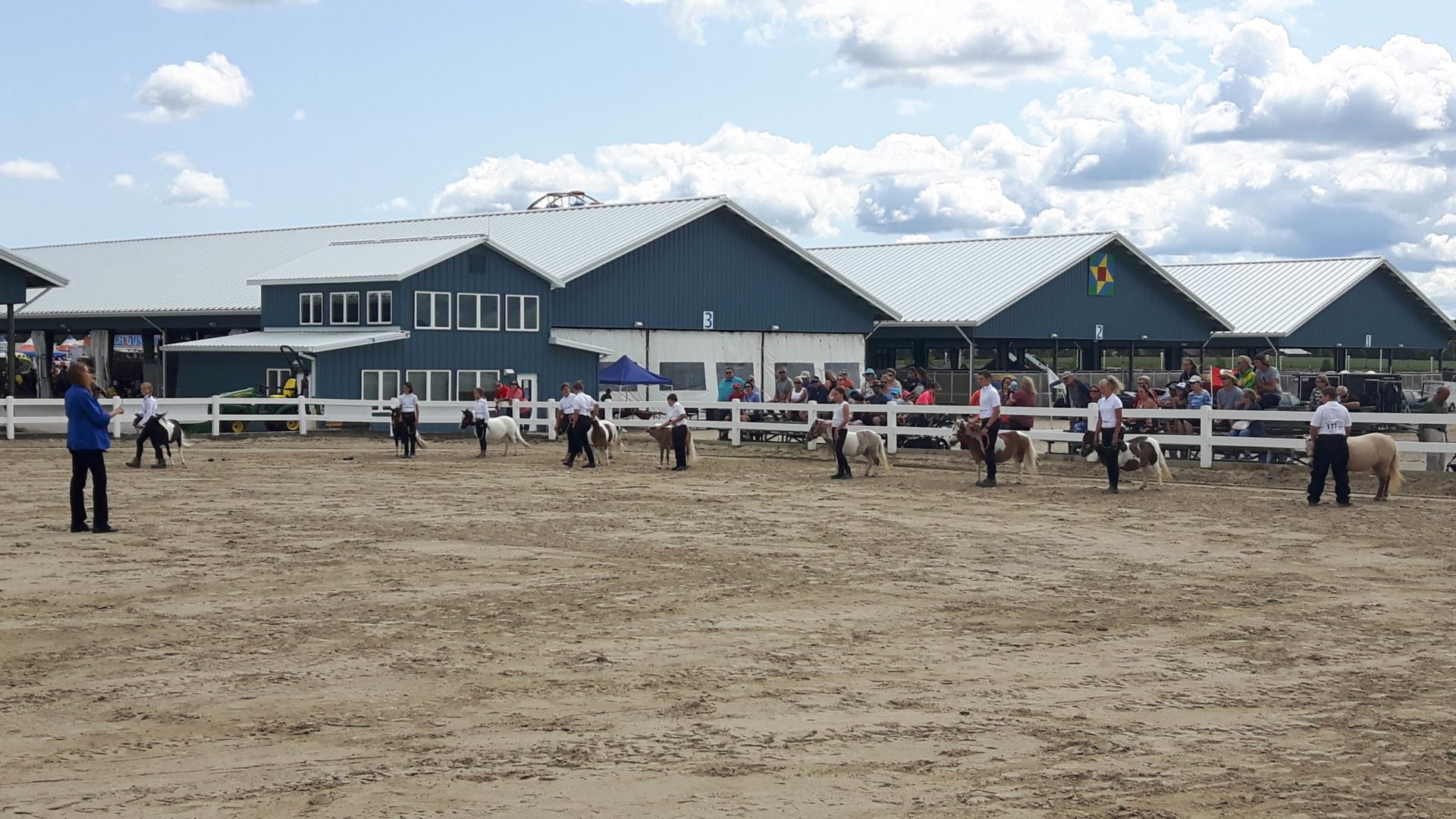 members in ring for showmanship clinic