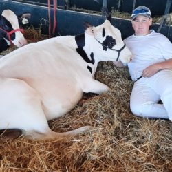 Member relaxing with his 4-H heifer