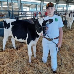 Member with his dairy heifer