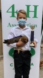 Member with his 4-H brown leghorn pullet