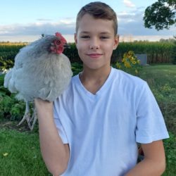 Poultry member with his lavender orphington hen