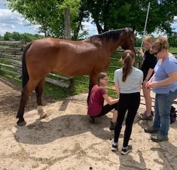 4-H leader nd members completing equine first aid fundamentals course