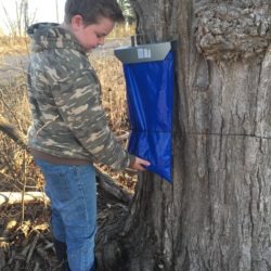 Checking that the sap bag is working