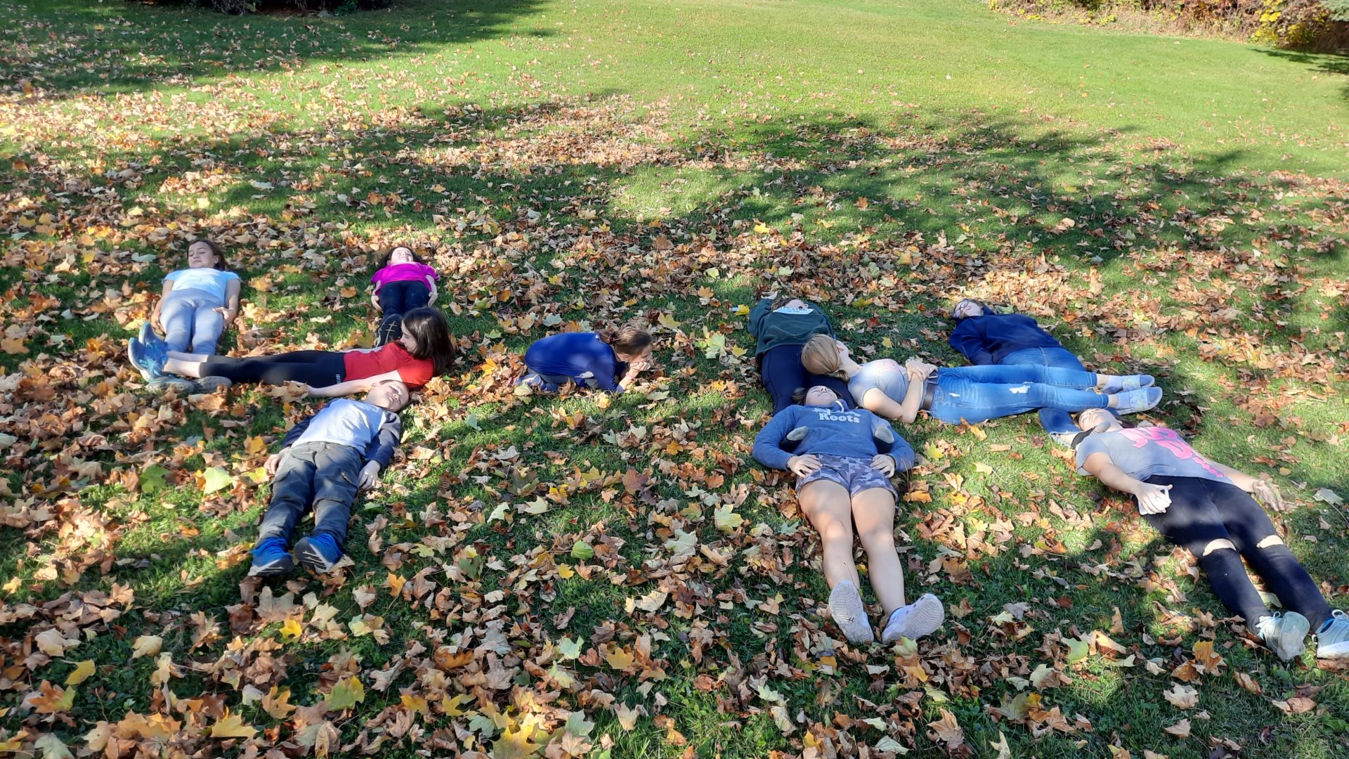 Members having fun in the leaves