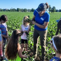 4-H members checking the plants in the field