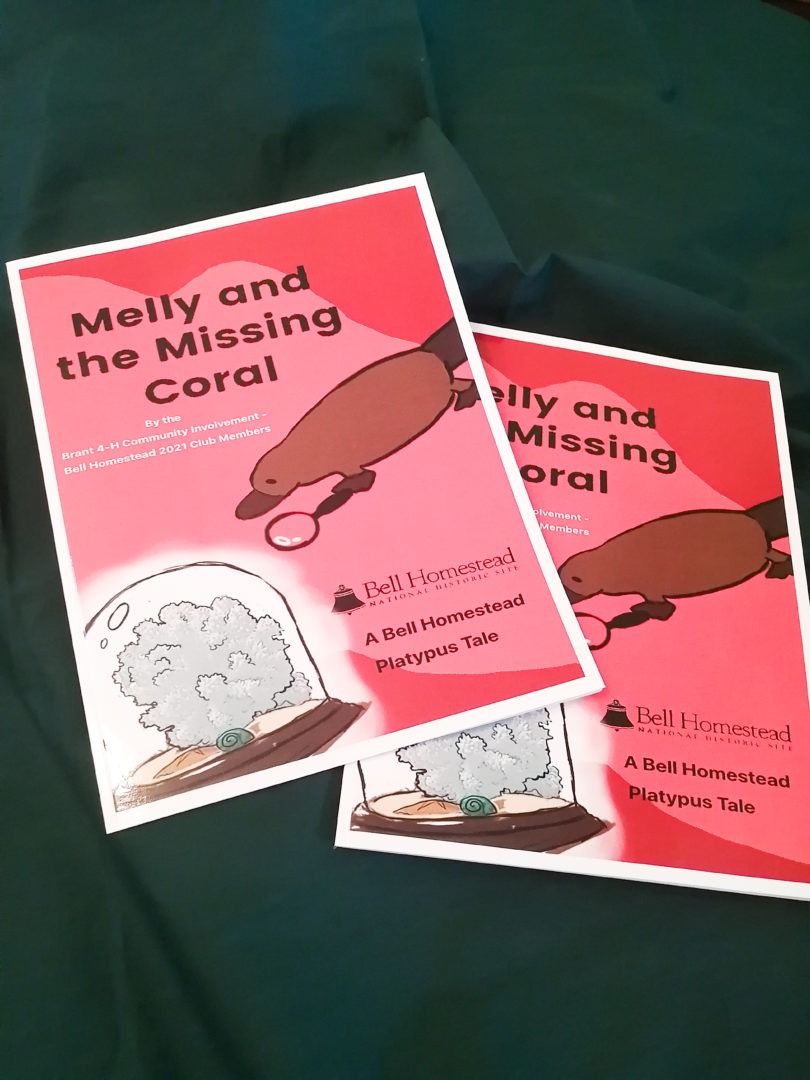 Melly and the Missing Coral Book