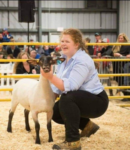 rhiannah gallagher showing her sheep