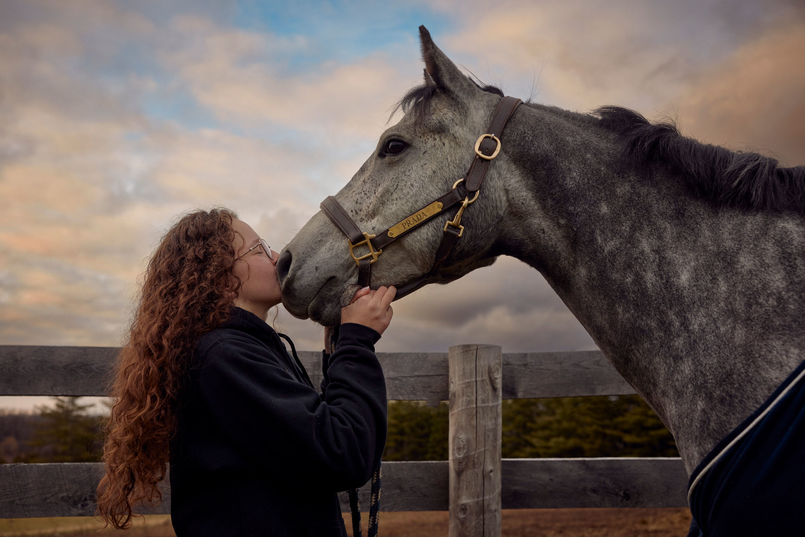Girl holding her horse. Her nose pressed again the grey speckled horse's nose.